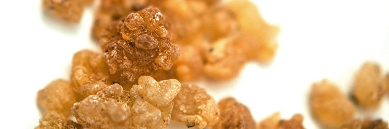 Frankincense (Essential Oil Spotlight)