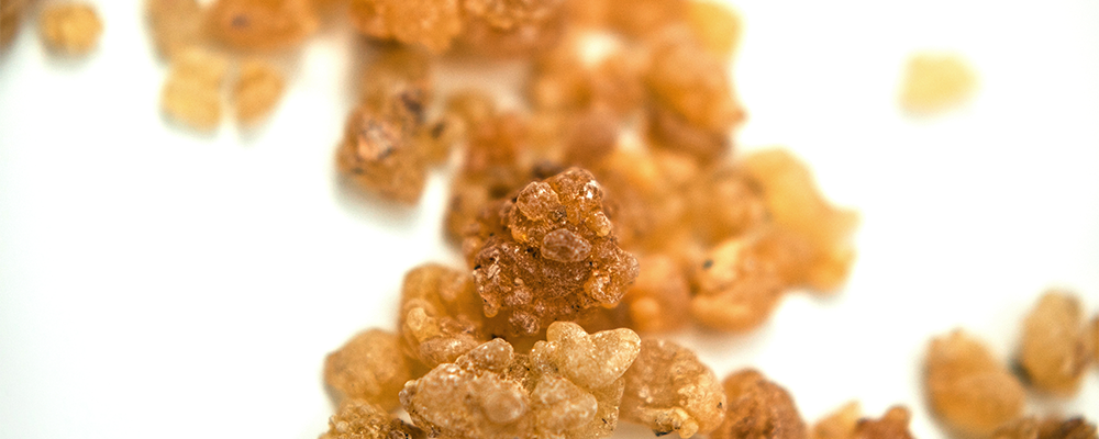 Frankincense (Essential Oil Spotlight)